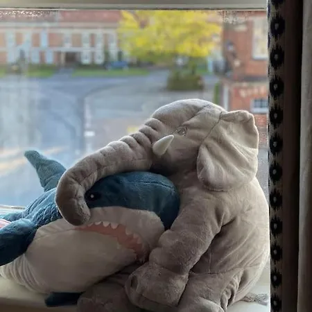 Innkeeper's House 公寓 伊辛沃尔德